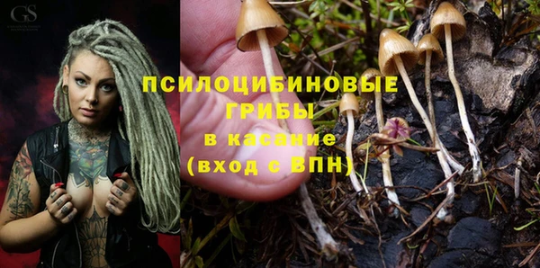 МДПВ Абинск