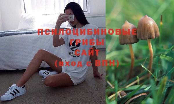 а пвп мука Абаза