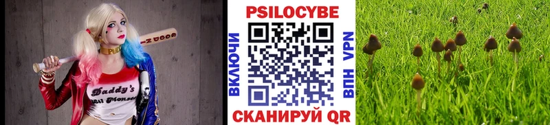 Галлюциногенные грибы прущие грибы  Бийск 